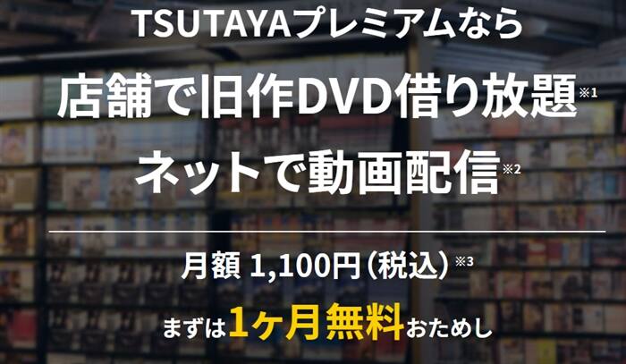 TSUTAYA DISCAS�i�c�^���f�B�X�J�X�j��z8�v�����̃��r���[�A�����A�����b�g�ƃf�����b�g�ɂ���
